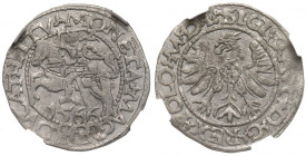 Sigismund II Augustus, Halfgroat 1566, Tiktin - NGC UNC Details R6/RRRR