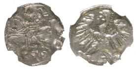 Sigismund II August, Denarius 1556, Vilnius - NGC MS64 2-MAX R/R2/R3
