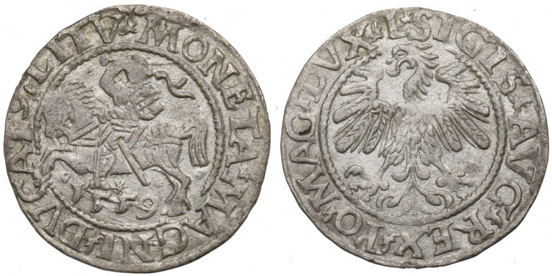 Sigismund II Augustus, Halfgroat 1559, Vilnius Ładnie zachowany egzemplarz. Odmi...