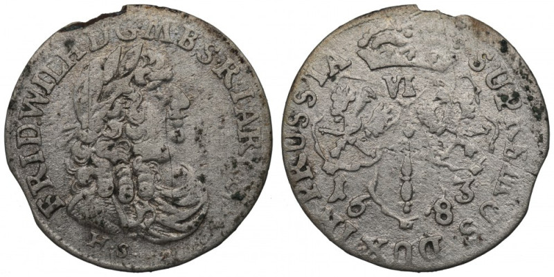 Germany, Preussen, 6 groschen 1683, Konigsberg Obiegowy, dość dobrze wybity egze...