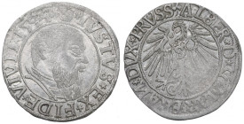Germany, Preussen, Albrecht Hohenzollern, Groschen 1544, Konigsberg