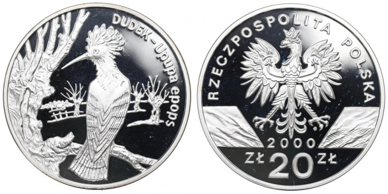 III RP, 20 złotych 2000 Dudek Patyna, nalot, ryski. 
Grade: Proof- 

Polen, P...