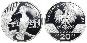 III RP, 20 złotych 2000 Dudek