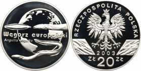 III RP, 20 złotych 2003 Węgorz europejski