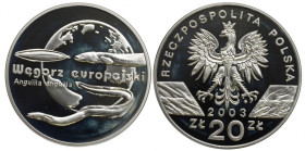 III RP, 20 złotych 2003 Węgorz europejski