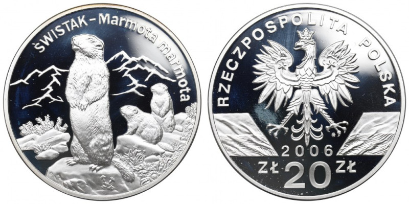 III RP, 20 złotych 2006 Świstak Menniczy egzemplarz. Smugi patyny. Ryski.

Gra...