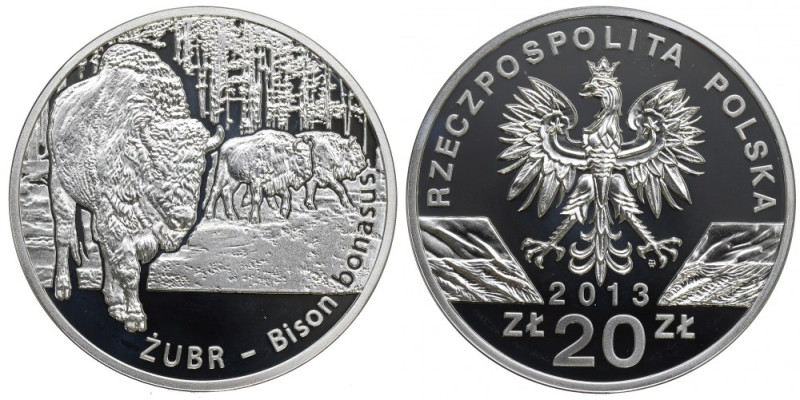 III RP, 20 złotych 2013 Żubr 
Grade: Proof 

Polen, Poland