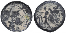 Seleucid Kingdom, Seleukos II Kallinikos, Ae