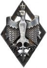 II RP, Odznaka Armii Ochotniczej Gen. Hallera - numerowana