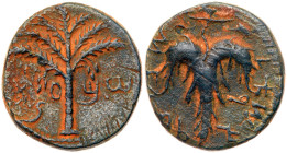 Judaea, Bar Kokhba Revolt. Æ Medium Bronze (9.80 g), 132-135 CE. VF