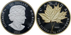 Canada. "Maple Leaf Forever" 250 Dollar (Kilo), 2013. NGC PF69