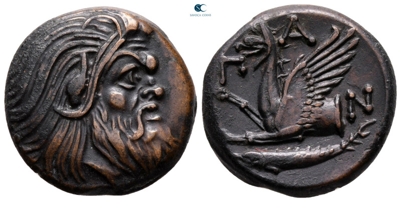 Cimmerian Bosporos. Pantikapaion circa 325-310 BC. 
Bronze Æ

22 mm, 7,99 g
...