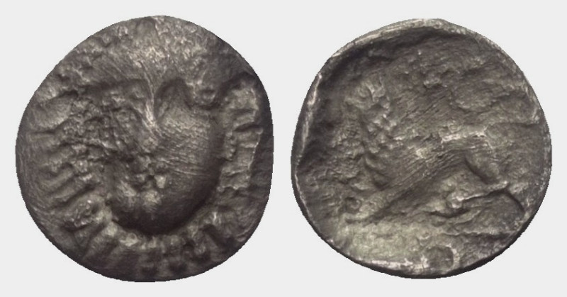 Kampanien. Phistelia.

 Obol (Silber). Ca. 310 - 300 v. Chr.
Vs: Weiblicher K...