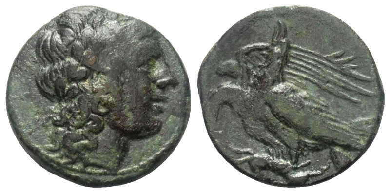 Sizilien. Akragas. Phintias (282 - 277 v. Chr.).

 Bronze.
Vs: Kopf des Zeus ...