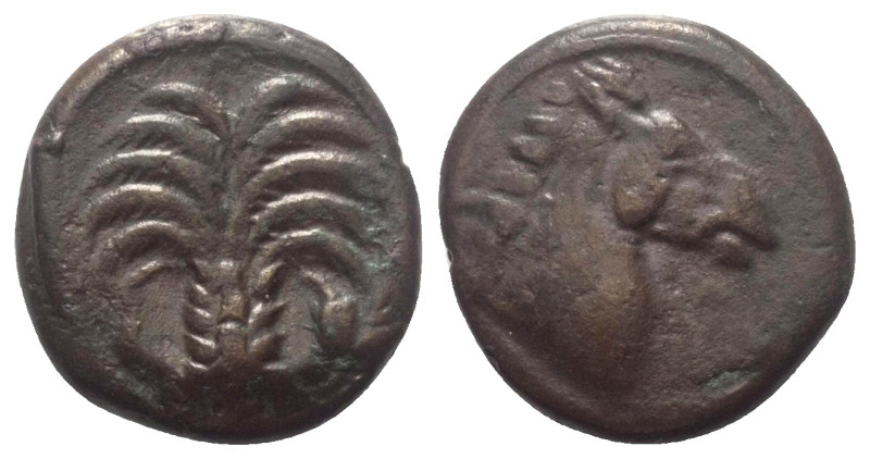 Sizilien. Sikulo-punische Prägungen.

 Bronze. Ca. 340 - 320 v. Chr.
Vs: Palm...