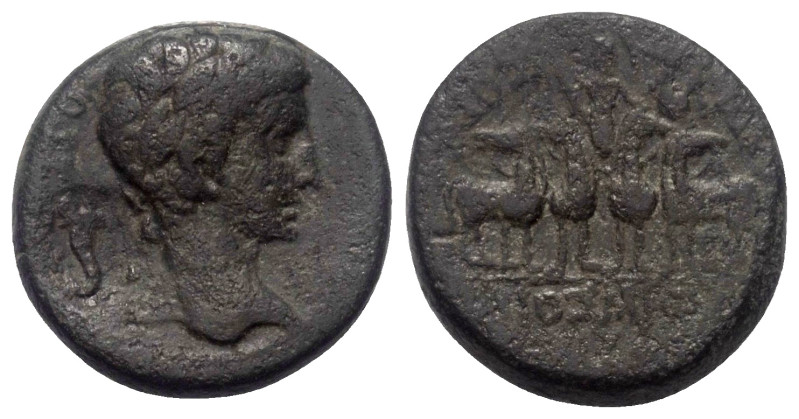 Phrygien. Apameia. Augustus (31 v. - 14 n. Chr.).

 Bronze.
Vs: Kopf des Augu...