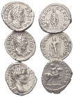Römische Münzen - Lots. Kaiserzeit.


Lot (3 Stück, Silber): Septimius Severus Denare (193 - 211 n. Chr.).

Sehr schön.

Verkauft wie besehen, ...