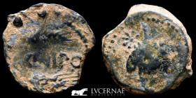Acinipo bronze As 8.83 g., 24 mm. Málaga 150-50 B.C. good fine