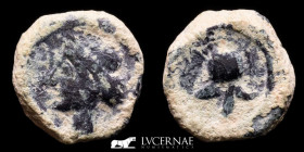 Cartaghinians Bronze 1/4 Calco 2,03 g, 16 mm Hispania 218-210 BC Good very fine (MBC)