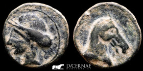 Cartagonova, Hispania Bronze calco 8,87 g, 21 mm military mint 220-215 B.C. Good very fine
