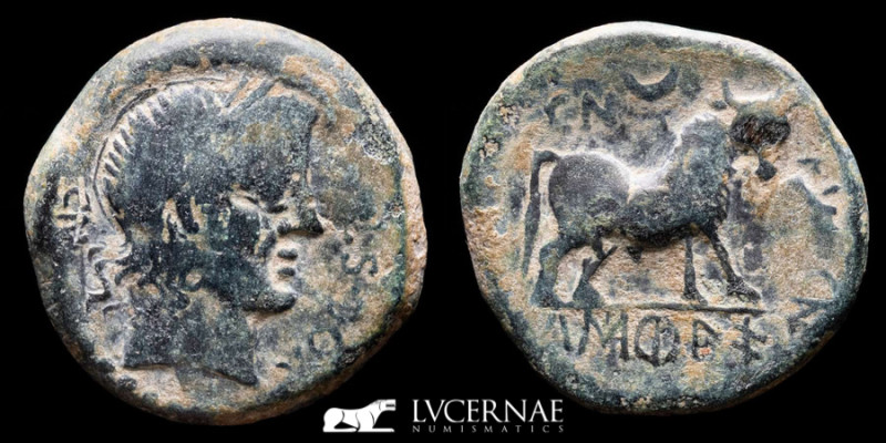 Castulo Bronze Semis 13.69 g, 24 mm Hispania 100-50 B.C. gVF
Ancient Hispania -...