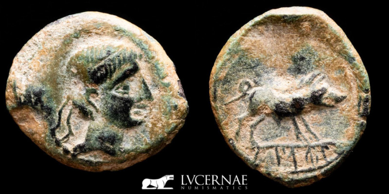 Castulo (Hispania) Bronze Quadrans 3,43 g., 17 mm. Linares 150-100 B.C. Near ext...