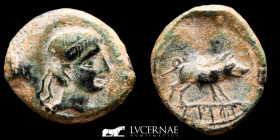 Castulo (Hispania) Bronze Quadrans 3,43 g., 17 mm. Linares 150-100 B.C. Near extremely fine