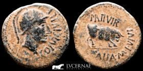 Hispania Bronze As 14.70 g. 30 mm. Celsa 50-30 a.C. Good very fine (MBC+)