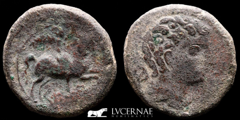 Kese-tarraco (Tarragona) bronze As 14,17 g., 27 mm. Kese, Tarraco 120-20 B.C. VF...
