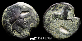 Sacili Bronze As 20,89 g. 33 mm. Pedro Abad (Córdoba) 120-100 B.C GVF