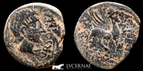 Ursone Bronze As 16.44 g. 32 mm. Hispania 50 B.C. Good very fine (MBC+)