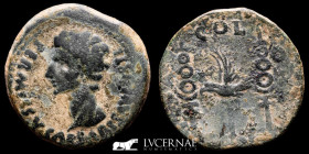 Augustus Bronze Dupondius 19,50 g. 32 mm. Colonia Patricia 27 B.C-14 A.D. VF