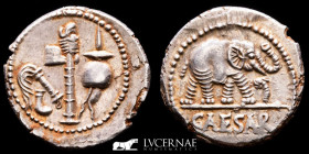 Julius Caesar Silver Denarius 3,92 g., 20 mm. Gaul 49-48 BC AU (About Uncirculated)