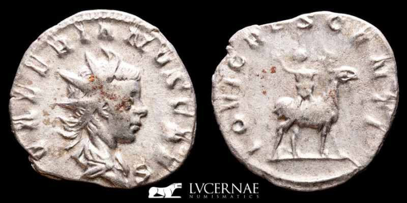 Valerian II Silver Antoninianus 2.80 g 21 mm. Cologne 255 AD. gVF
Roman Empire ...