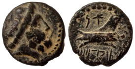Bronze Æ
Phoenicia, Arados c. 242-166 BC
19 mm, 2,20 g