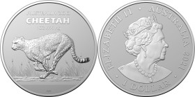 1 Dollar AR
Australia, Cheetah, 2021
31,10 g