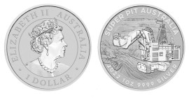 1 Dollar AR
Australia, Super Pit, 2022
31,10 g