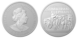 1 Dollar AR
Australia, Sumatran Elephant, 2022
31,10 g
