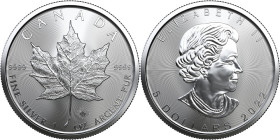 1 OZ AR
Canada Maple Leaf 2022
31,10 g
