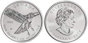 5 Dollars AR
Canada, 2015
Red-Tailed Hawk
31,10 g