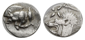 Mysia, Kyzikos AR Hemiobol. (10mm, 0.41 g) Circa 450-400 BC. Forepart of boar left; tunny upward to right / Head of roaring lion left, with star to le...