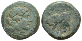 SELEUKID KINGS of SYRIA. Seleukos II Kallinikos. 246-225 BC. Æ (21mm, 7.50 g). Mint associated with Antioch. Laureate head of Apollo right / Bull butt...