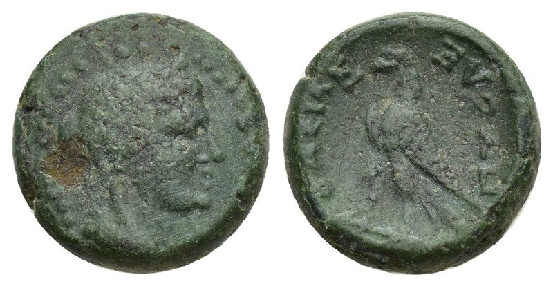 Ptolemaic Kings of Egypt, Ptolemy II (285-246 BC). Æ Dichalkon (13mm, 3.10 g). T...