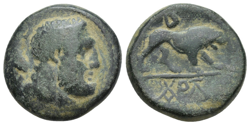 KINGS OF GALATIA. Amyntas. 39-25 B.C. Æ. (22mm, 11.23 g). Bearded head of Herakl...