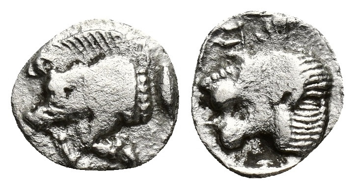 Mysia. Kyzikos circa 480 BC. Hemiobol AR (8mm, 0.51 g). Forepart of boar to left...