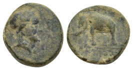 Seleukid Kings, Antiochos III (222-187). Æ (13mm, 2.44 g). Sardes, c. 222-187. Laureate head of Apollo? right R/ Elephant standing left.