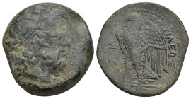 Ptolemaic Kingdom of Egypt, Ptolemy II Philadelphos Æ Diobol. (27mm, 14.30 g) Alexandria, circa 275/4-246s BC. Laureate head of Zeus right / ΠΤΟΛEΜΑΙO...