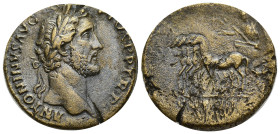 ANTONINUS PIUS, July 10, 138–March 7, 161. Sestertius, Rome early 146, Æ (30mm, 22.31 g). Obv. ANTONINVS AVG - PIVS P P TR P His laureate head right; ...