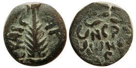 JUDAEA. Procurators. Porcius Festus, 59-62 CE. Æ prutah.