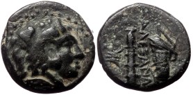 Kings of Macedon, Alexander III 'the Great', AE, (Bronze,2.18 g 7 mm), 336-323 BC. Uncertain mint in Macedon.
